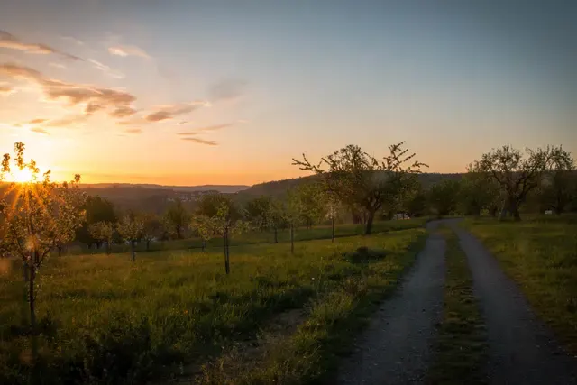 Abendstimmung über den Feldern von Berglen